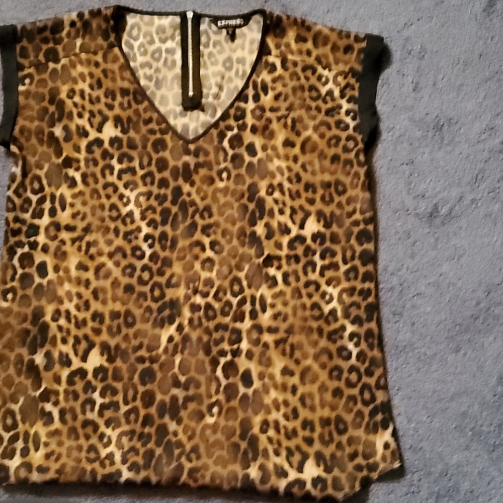 Sleeveless V Neck Silky blouse